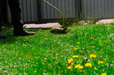 Garden work concept background. Mowing the grass with a lawn mower. Garden work concept background.