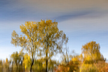 reflection on pond at autumn