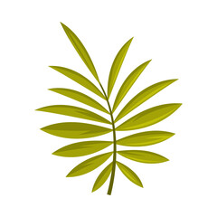 Green Tropical Leaf and Foliage of Bali Vector Illustration