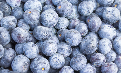 blueberries on the whole background.