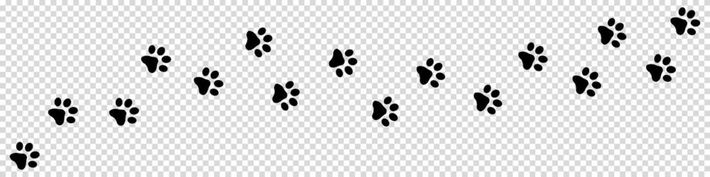 Tiger Dog Or Cat Set Paw Print Flat Icon For Animal Apps And Websites  Collection Of Template For Your Graphic Design Vector Illustration Isolated  On White Background Stock Illustration - Download Image