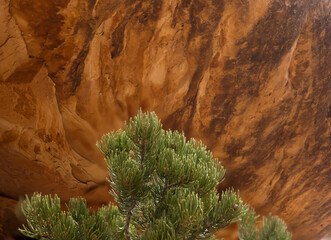 Abstraction in natural colored stone