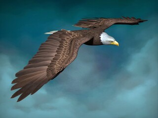 Bald eagle close-up. 3d illustration