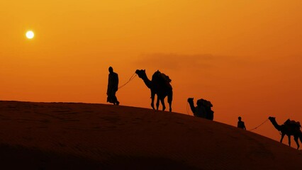Cameleers, camel Drivers at sunset. Thar desert on sunset Jaisalmer, Rajasthan, India.