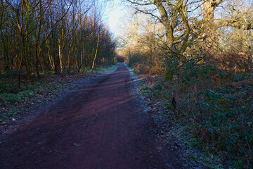 Frost fringed footpath through Sherwood Forest shaded from the morning sunshine by tall trees.