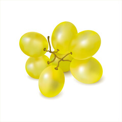 Ripe green grapes sprig close-up on white background. Cluster of fresh juicy grape