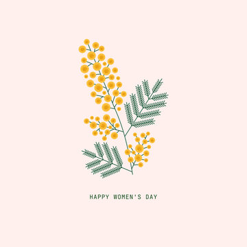 Mimosa flower branch illustration. Spring holiday symbol. 