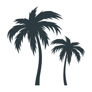 Illustration of palm trees. Summer image for holiday or vacation.