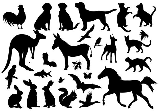 animals set silhouette ,on white background, vector