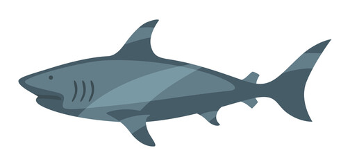 Stylized illustration of shark. Marine fauna and wildlife.