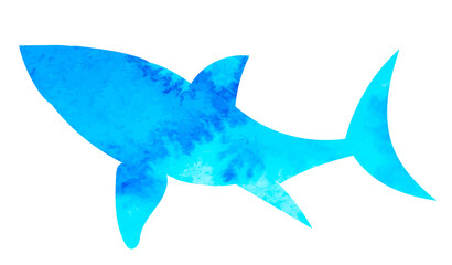 shark watercolor silhouette ,on white background, vector