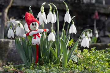 Snowdrops and martenitsa or martishor. March 1st - traditional trinket, Baba Marta Day - Bulgarian holiday. Beginning of spring, springtime concept - obrazy, fototapety, plakaty