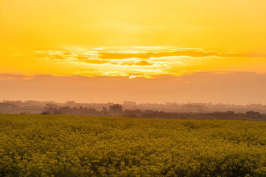 sunset over the field © Ignacio