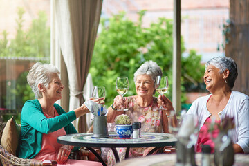 Celebrating a long and happy friendship. Cropped shot of a group of senior female friends enjoying a lunch date.