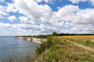 Fototapeta na wymiar Hojerup, Denmark - July 21, 2020: View of the coastline at Stevns Klint cliff