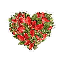 Floral heart. Valentine heart with dog rose berries 