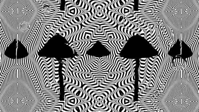 Trippy Mushroom Glitch Loop 