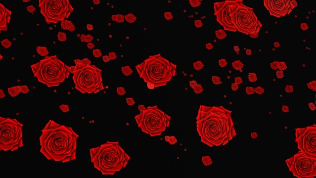 Red roses in different sizes moving against a black background. Romantic and valentine concept. 3D animation.