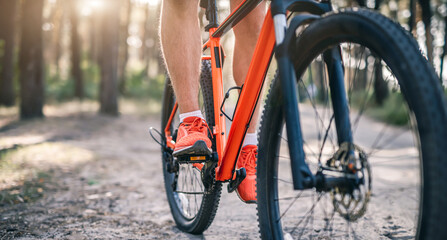 Legs of man in sneakers riding bicycle through pine forest