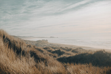 Southern Oregon Coastline