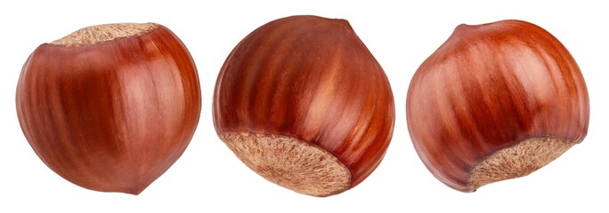 Set of hazelnuts isolated on white background