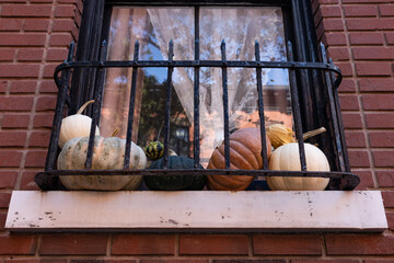 Pumpkin and Gourd Display during Autumn on a Window of a Beautiful Old New York City Home