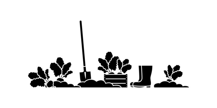 Harvest of beet root vegetable vector illustration set. Gardening, farming on ground with shovel, gum boots icon silhouette pictogram on white background