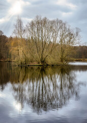 Von Sonnenstrahlen beleuchtete Bauminsel im Backteich vom Kloster Loccum 