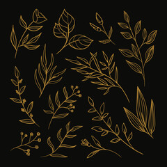 handdrawn floral line art collection