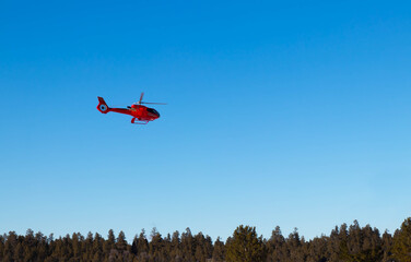 Red helicopter flying over forest in clear blue sky