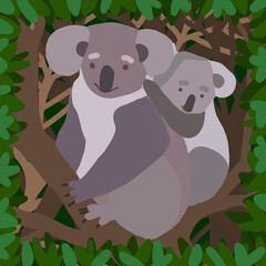 illustration of a koala with a cub, trees and leaves straight style.