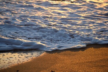 Ocean foam waves washing up on the beach at sunrise.