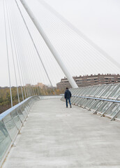 bridge over the ebro river as it passes through zaragoza Spain