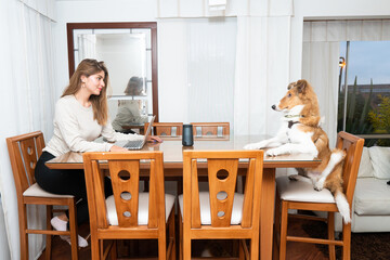 funny portrait of a blonde young woman and her collie dog sitting in the dining room looking each...