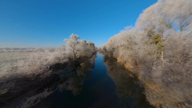 Fast flight on the FPV drone over the river on the banks of which are trees covered with hoarfrost and snow. The water is a mirror image of the blue sky and white trees.