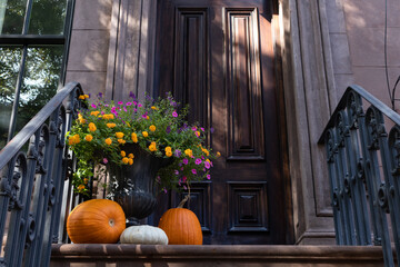 Pumpkins and a Flower Pot Decorating Stairs to an Entrance to an Old Brick Home in New York City during Autumn