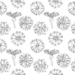 A set of seamless patterns with cornflowers 1000x1000, vector graphics.