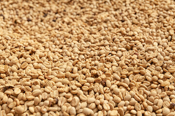 Colombian coffee
