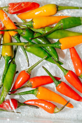 Colorful peppers on a plastic wrapping. Top view. Middle sized. Red, orange, yellow and green.