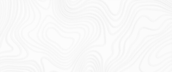 Topographic line contour map background, Topographic map and landscape terrain texture grid, monochrome image. 3D waves. Cartography Background, White wave paper curved reliefs abstract background.