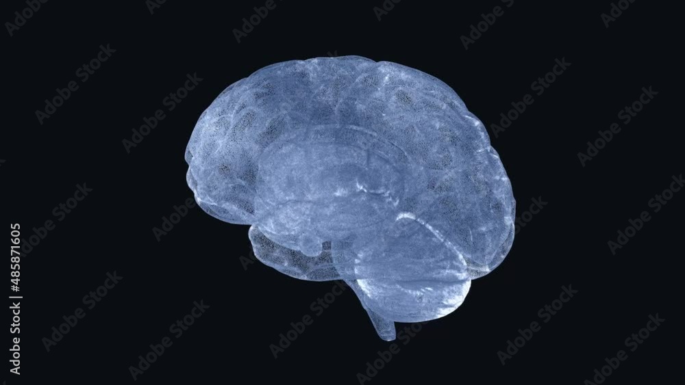 Aufkleber brain rotate. human brain rotating against a dark background, animation 3d rendering