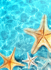 Starfish on the summer beach in sea water. Summer background.