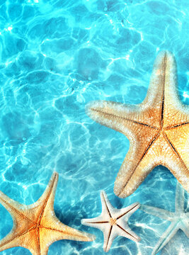 Starfish on the summer beach in sea water. Summer background.