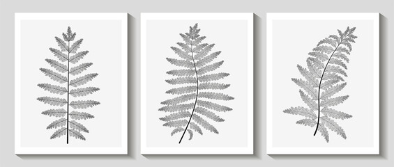 Abstract art design, set of modern creative minimalist illustration with fern leaves. Vector. © O.Yu