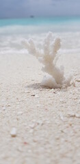 waves and sand