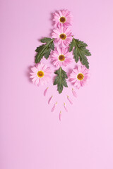 chrysanthemums flowers on pink paper background