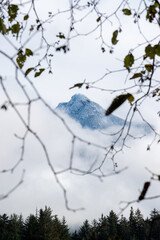 mountain framed in branches