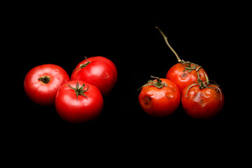 spoiled tomato with rot on a white or black background