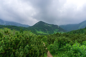 Beautiful green landscape in the Belianske Tatry Mountains, Slovakia.