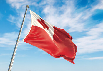 3d rendering Tonga flag waving in the wind on flagpole. Perspective wiev Tonga flag waving a blue cloudy sky